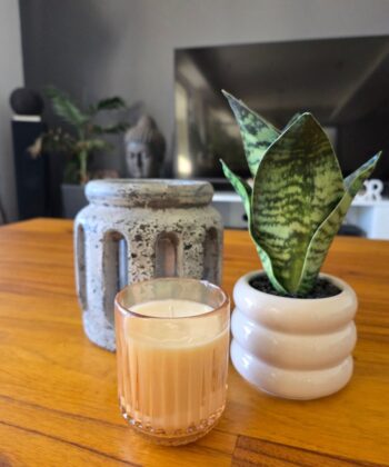 VELAS DE SOJA CHIC